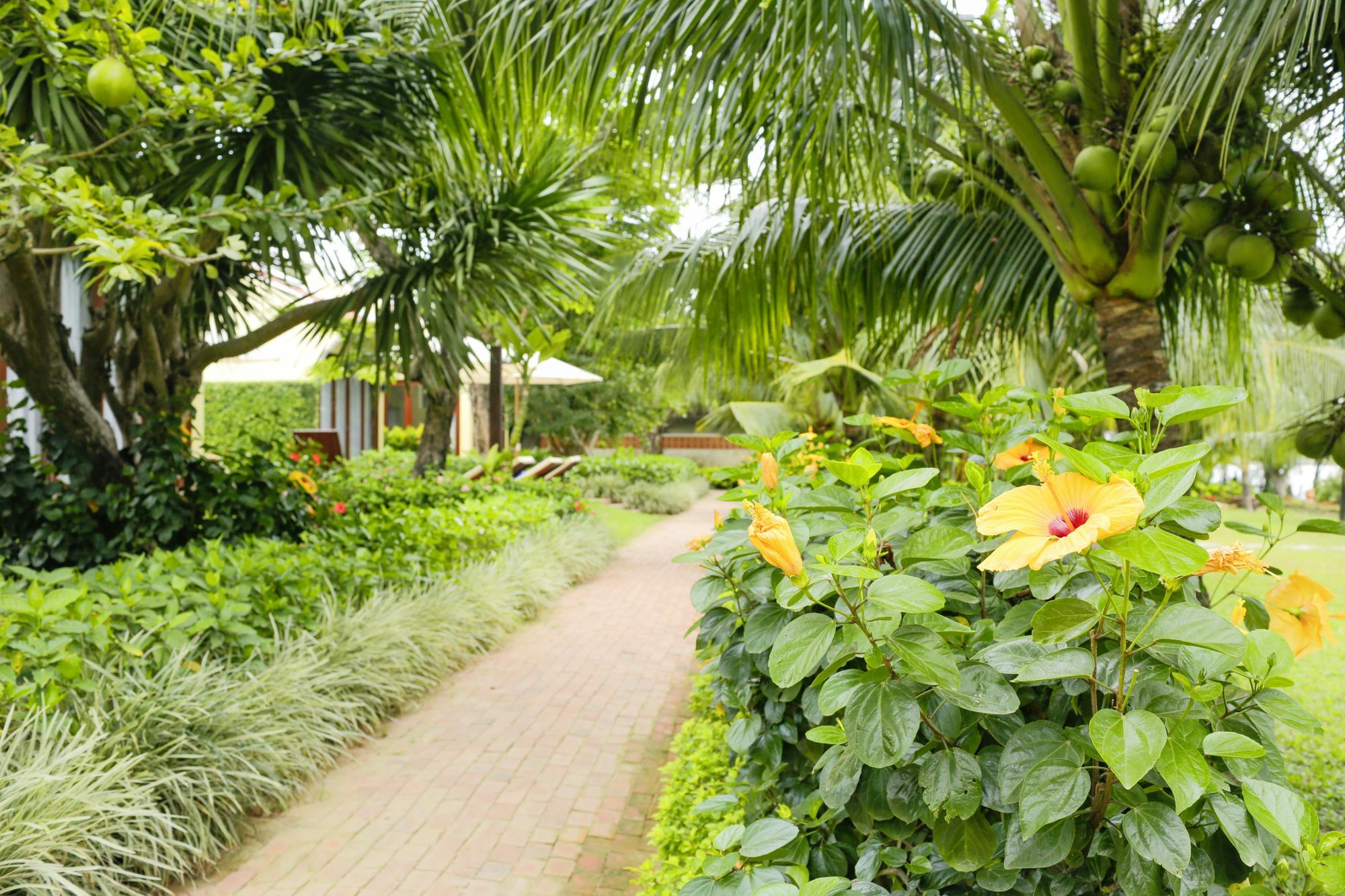 Mulberry Collection Silk Marina Imperial Wing Hotel Hoi An Luaran gambar